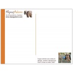 Alpaca postcard - Happy Holidays (French only)